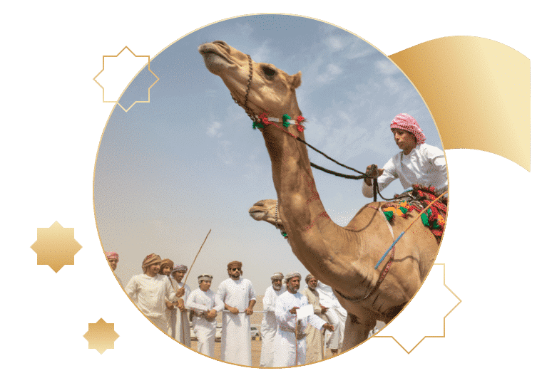 Camel Racing